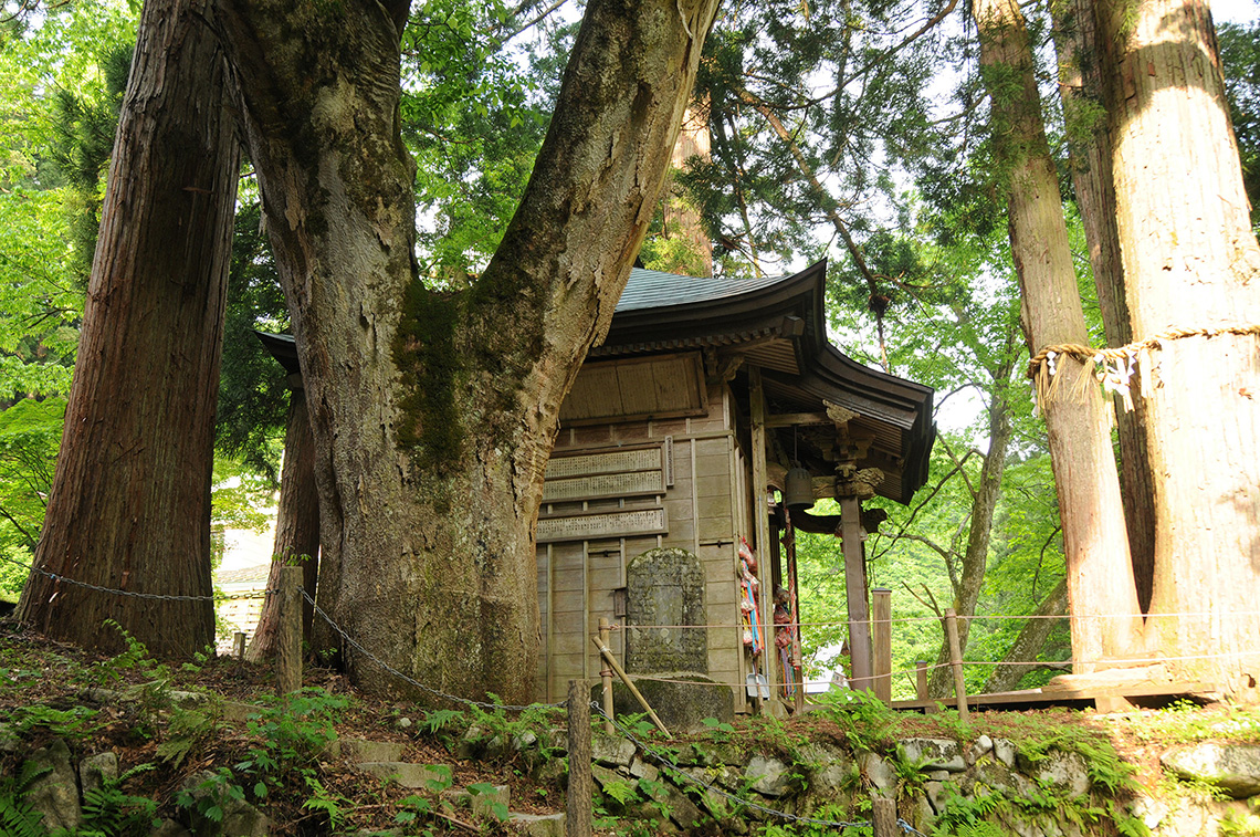 子宝祈願「栃尾又薬師堂」