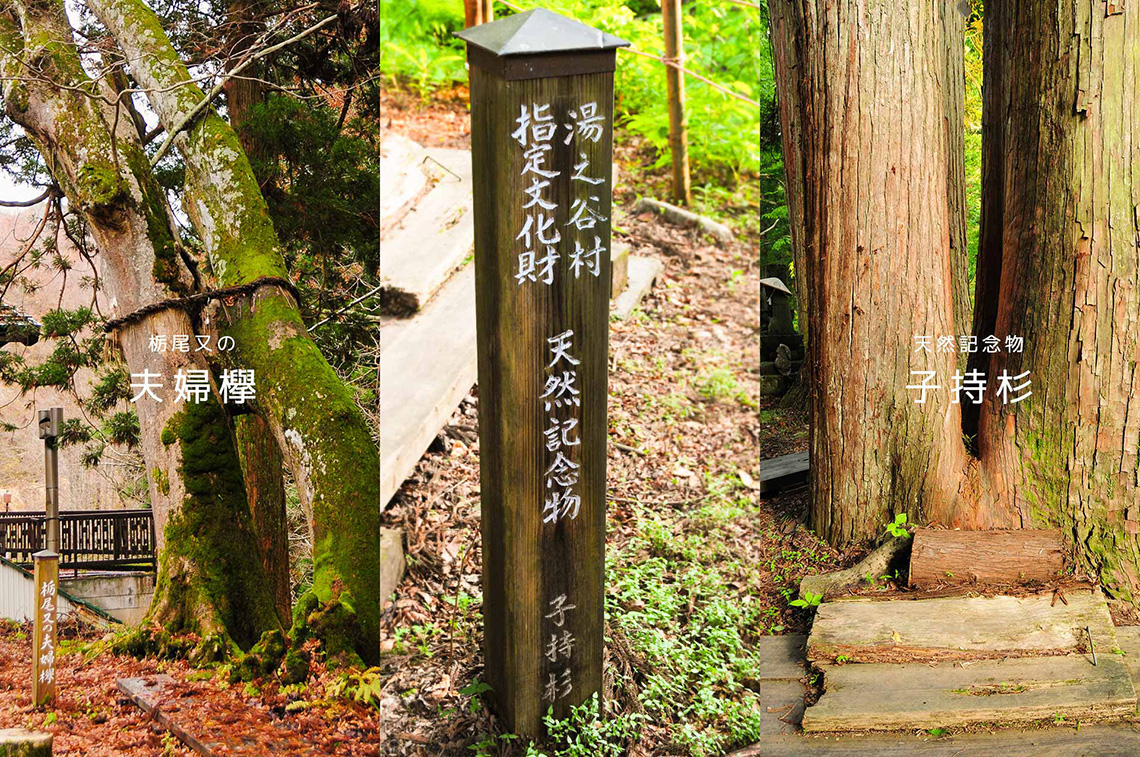 子宝祈願「栃尾又薬師堂」