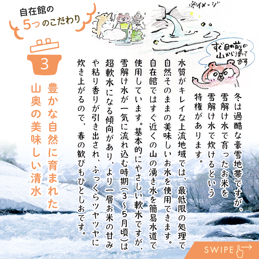 自在館のごはんは、山田さんちの「魚沼産コシヒカリ（従来品種）」