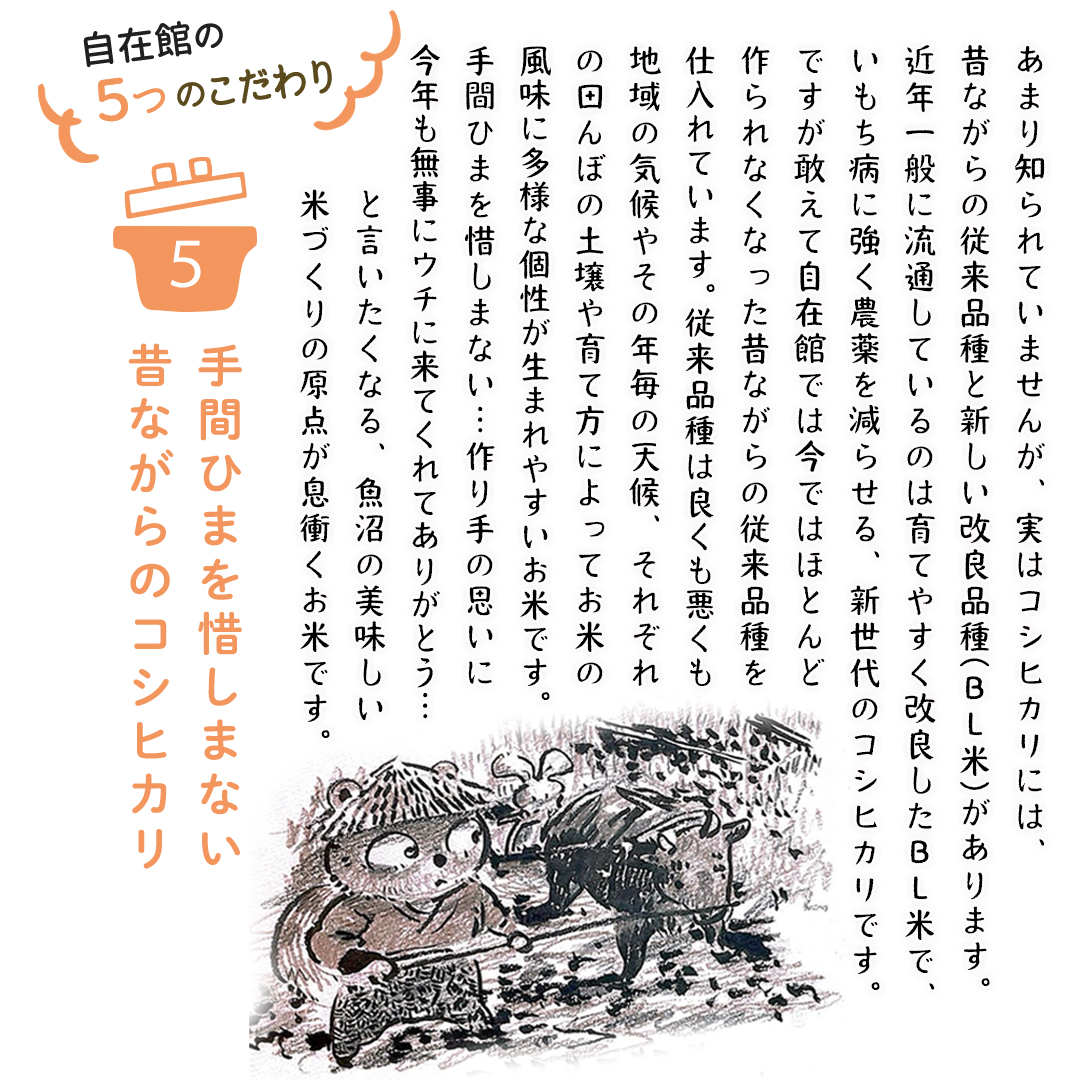 自在館のごはんは、山田さんちの「魚沼産コシヒカリ（従来品種）」