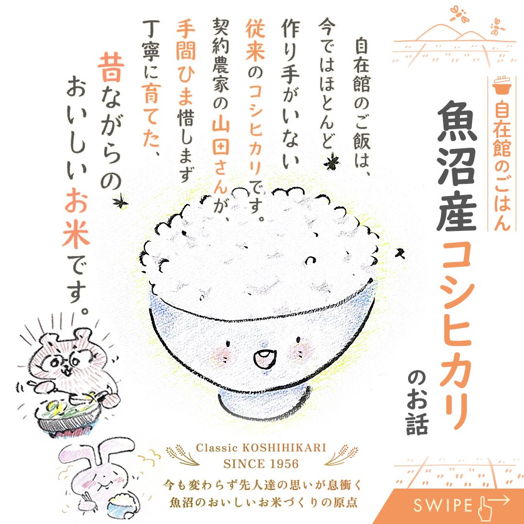 自在館のごはんは、山田さんちの「魚沼産コシヒカリ（従来品種）」